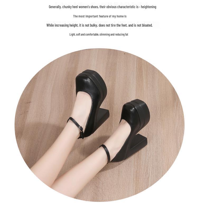 2026 Spring European & American High Chunky Heel Women's Platform Shoes - Waterproof Fashion Show & Banquet Style