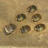 Ancient Egyptian Sacred Beetle Resin Ornaments Creative Travel Souvenirs Office Desktop Personalized Ornaments Crafts