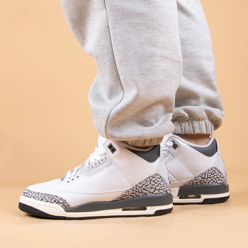 Jordan 3 Retro Hide N' Sneak GS DX6665-100