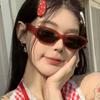 Korean Style Sunglasses for Women Fashion Stylish Decorative Sun Glasses Woman Campus Style Female Sun Glass
