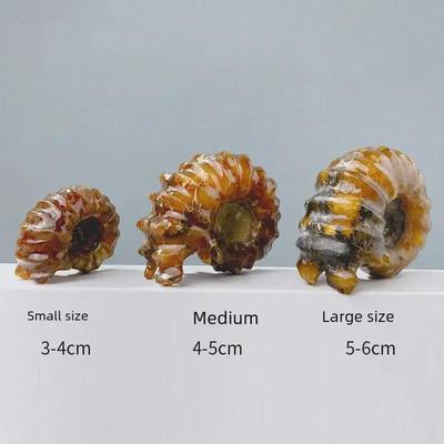 Madagaskarský roh hlemýžď ​​Fosilní nefritový amonitový kámen ruční kus