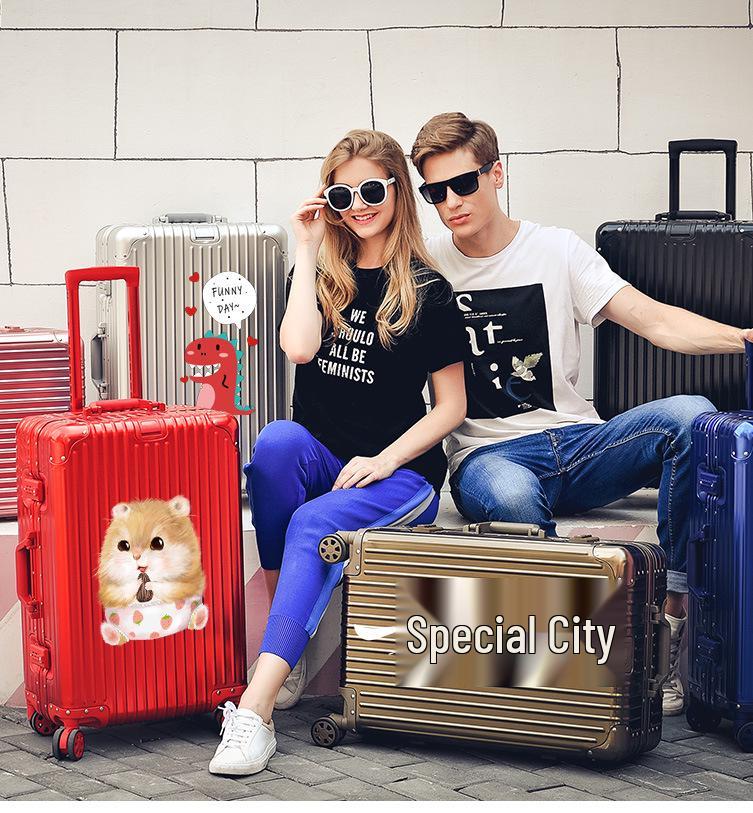 20" Aluminum-Magnesium Alloy Trolley Case - Unisex Metal Travel & Business Suitcase with Leather Accents