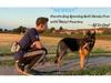 Multifunctional Sports Waist Bag for Running, Fitness, Dog Walking, and Outdoor Activities
