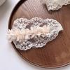 1 Piece Newborn Frence Style Lace Girl Headband Retro Mesh Gauze Embroidery Floral Infant Baby Headwear Photographyr Props