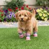 4pcs/set Breathable Anti-Slip Dog Boots Wear-Resistant Dog Paw Protectors  Night-time Walking