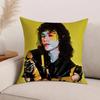 Singer Conan Gray Wishbone Pillow Case Office Cushions Suitable For Sofa Car Bedroom Decorative Cushion Cover