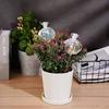 Top Fill Plant Watering Bulbs Automatic Auto Watering System Indoor Gardening Reusable Easy Refill For Busy Gardeners
