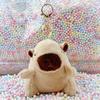 Little Red Book Capybara & Guinea Pig Plush Keychain Ornament