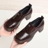 Women's High-heeled Leather Shoes, Spring and Autumn Single Shoes, Chunky Heels, Thick Soles, Slip-on Women's Shoes, Square Toe Leather Shoes