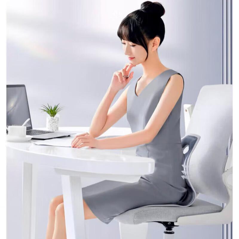 Ergonomic Lumbar Support Chair Cushion with Backrest