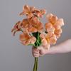 5 Pcs Real Touch Artificial Flower Faux Full Bloom PU Tulip Bouquet with Long Stem for Mother's Day Spring Wedding Centerpiece Floral Arrangement