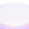 Dental Endo File Clean Stand Holder Sponge Endodontics File Cleaning Sponge Dental Accessory Purple