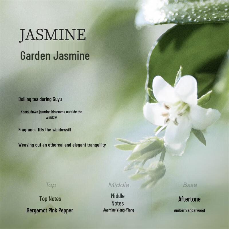 Little Dream Garden Nicotinamide & VC Body Lotion with Jasmine Shower Gel Set