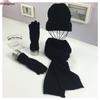 Accesorii