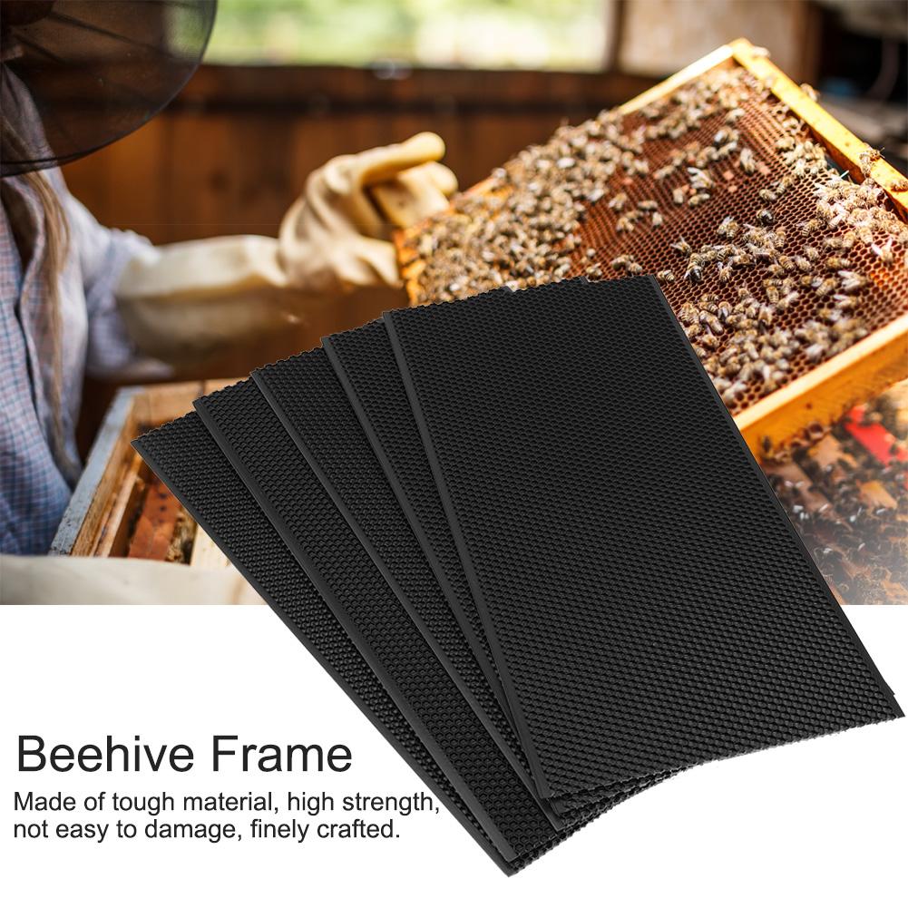 Auto Honey Beehive Frames Beekeeping Kit Pollination Box Bee Hive King Box 42.5 X 21 Cm