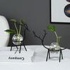 Nordic Hydroponic Flower Pot for Succulents and Water-Grown Plants - Desktop Vase Decoration