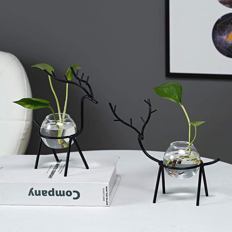 Nordic Hydroponic Flower Pot for Succulents and Water-Grown Plants - Desktop Vase Decoration