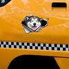 Malamute-Autoaufkleber, wetterbeständige Vinyl-Aufkleber für Fenster, Stoßstangen-Bastelarbeiten – Fahrzeugaufkleber aus PVC-Material
