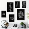 Canvas Printing Human Anatomy Artwork Wall Art Poster Skeleton Organ Muscular System Vintage Home Decor