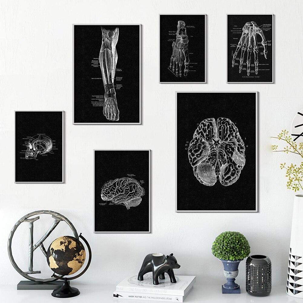 Canvas Printing Human Anatomy Artwork Wall Art Poster Skeleton Organ Muscular System Vintage Home Decor