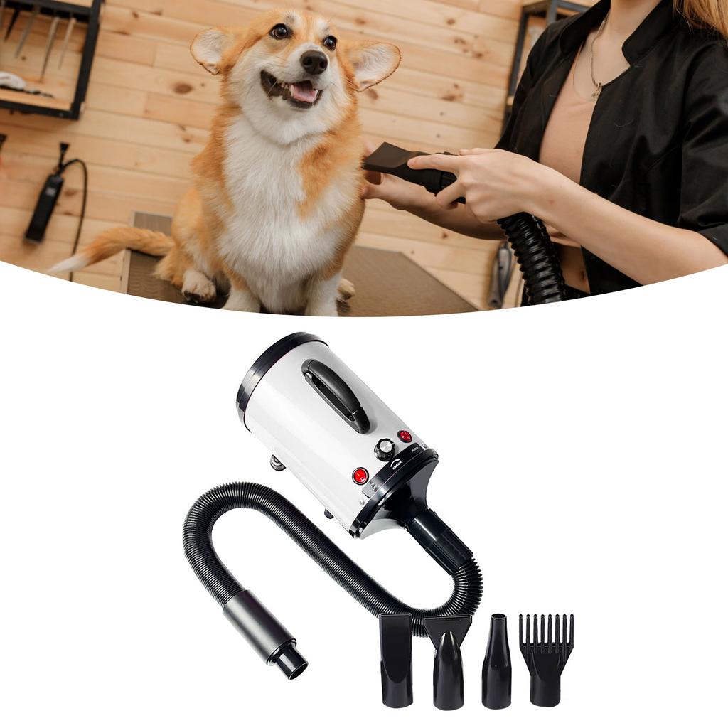 Dog Dryer Speed Adjustable Low Noise Heat Resistant Portable Pet Grooming Blower for Dogs Cats