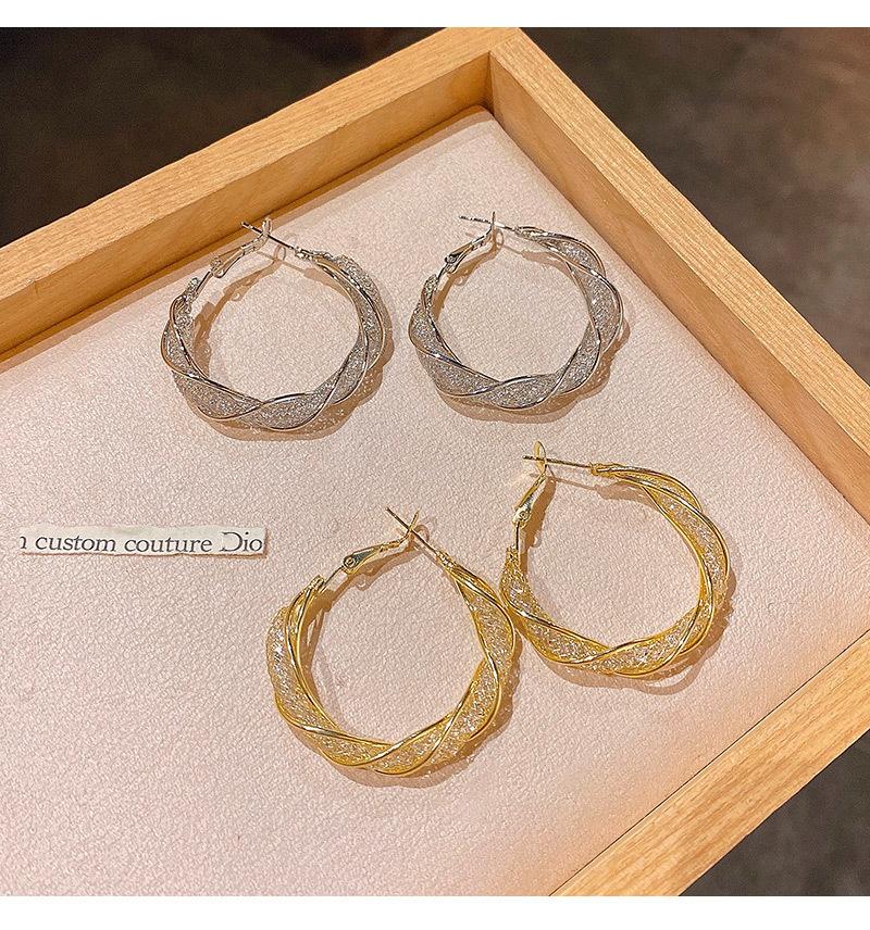 Niche Design Sense Winding Metal Earrings Female Korea Dongdaemun Personality European and American Style Ins Earrings