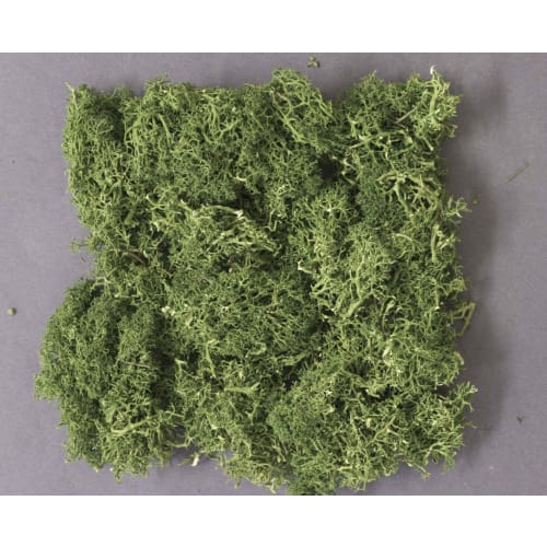 KATO Diorama Supplies, Natural Plants, Medium Green, 24-333, Model Railroad Supplies