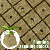 Seedling Grow Plug Sponge Block Starter Rock Wool Planting Grow Cubes Hydroponics Cuttings Garden Plant Propagation Grow Supply