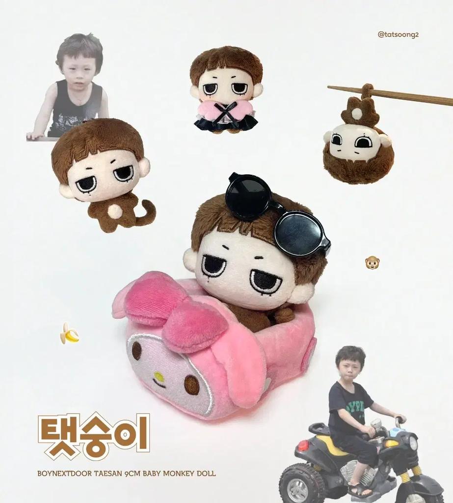 BOYNEXTDOOR Dove Eunshin-i Bonekdo Taesan Eunhak Puppe