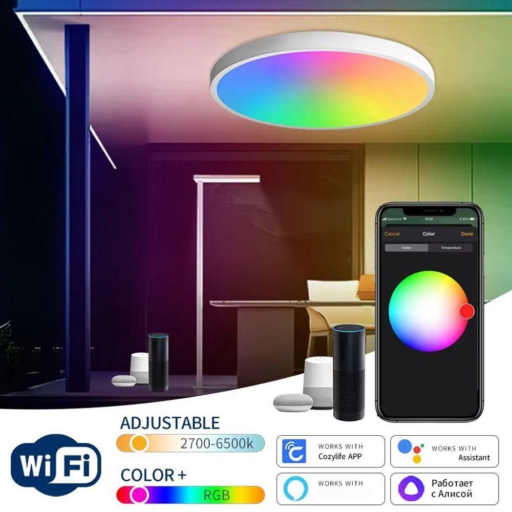 24W Power Tuya Smart WiFi Ceiling Light RGB Color Changing Dimmable Function Smart LED Ceiling Light 220V Voltage Flush Mount