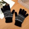 Winter Adult Outdoor Riding Warm Velvet Gloves
