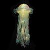 Cor medusa lâmpada lanterna luzes decorativas sereia tema festa medusa luz lanterna meninas felizes sob o mar tema festa de aniversário decoração