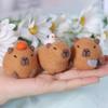 Cute Chubby Capybara Gray Fish Beginner Material Kit Wool Felt Handmade Diy Doll Plush Toys Desktop Decorations