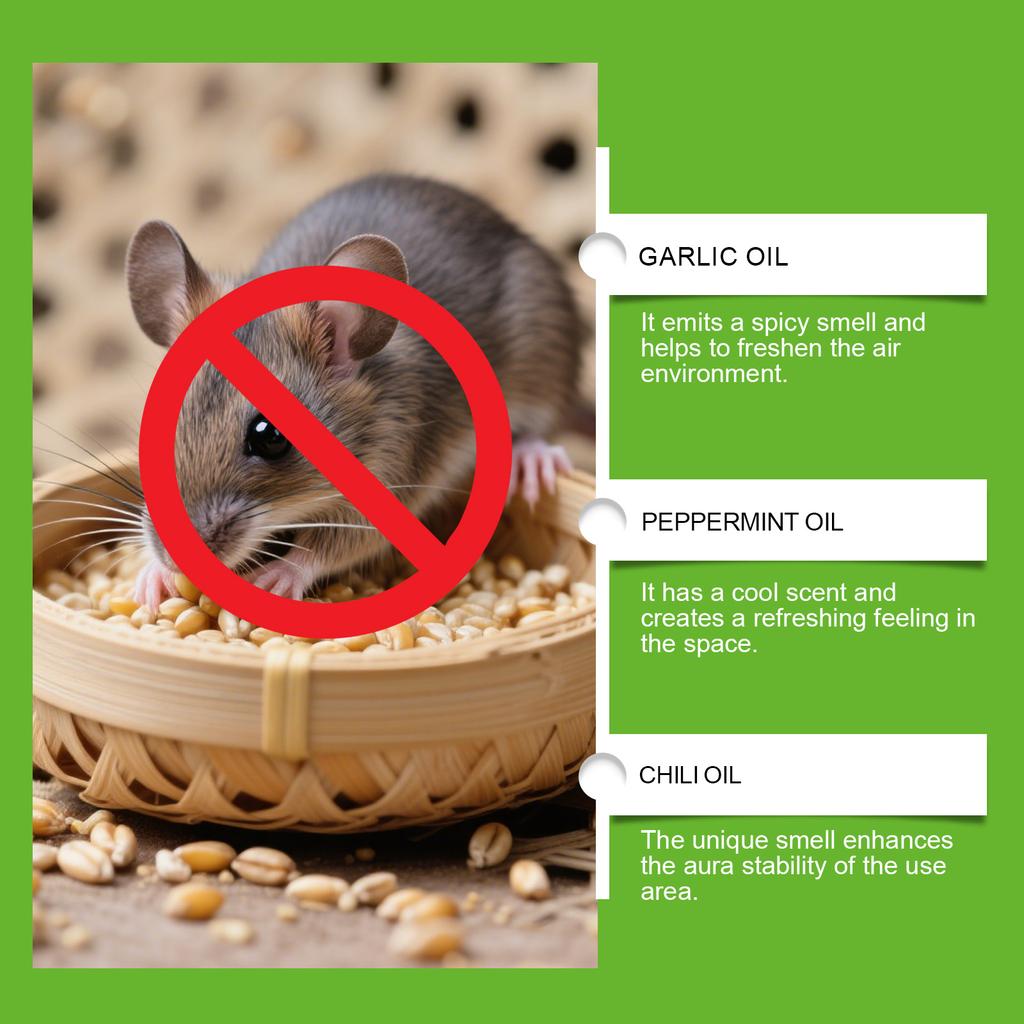 Peppermint Oil Is A Household Rodent And Plant Oil For Indoor Use To Drive Away Rodents.
