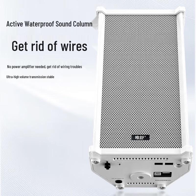 Weishu Wireless FM Broadcast Wall Speaker