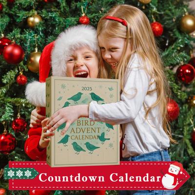 Sea Glass Bird Advent Calendar 2025 24-Day Christmas Countdown Box with Acrylic Bird Ornaments Unique Holiday Gift for Nature Lovers