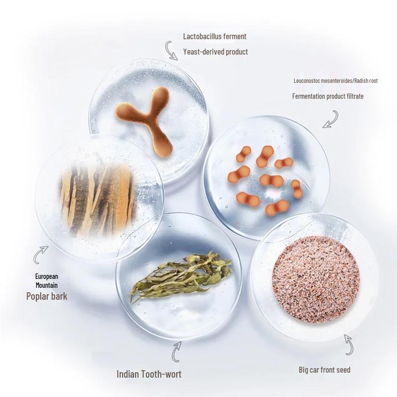 DR PLANT Cordyceps Revitalizing Luxury Face Cream