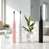 Sonic Elektrische Zahnbürste für Erwachsene Ipx7 Wasserdicht Mit 4 Bürstenköpfen USB Wiederaufladbar Hochfrequente Reinigung 6 Reinigungsmodi