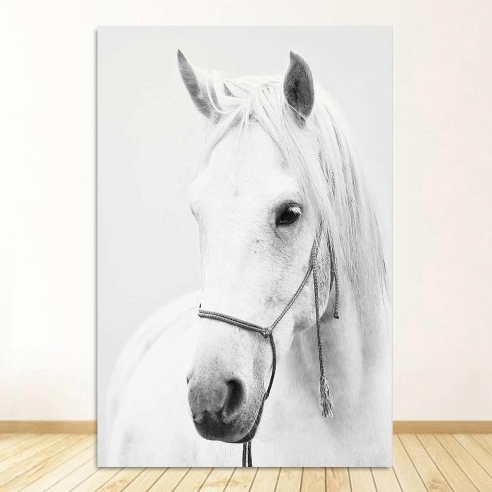 

Черно-белый портрет лошади, постер, печать на холсте, картина с изображением бегущих лошадей, настенное искусство, картина для декора комнаты в фермерском доме 30x45cm