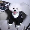 Dog Clothes, Winter Jackets, Pet Teddy Small Dogs, Autumn and Winter Puppy Cotton Clothes, Four-legged Winter Warmth