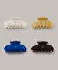 Laminez Middle Hair Clip - 4 Colors