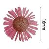12 Pcs Dried Pressed Flowers DIY Art Craft Photography Props for Phone Case