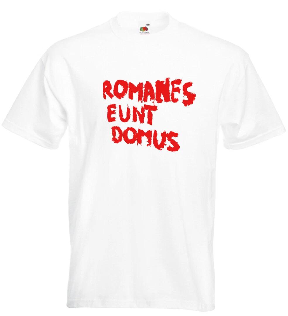 Футболка в стиле Монти Пайтона Romanes Eunt Domus Римляне Идите Домой M