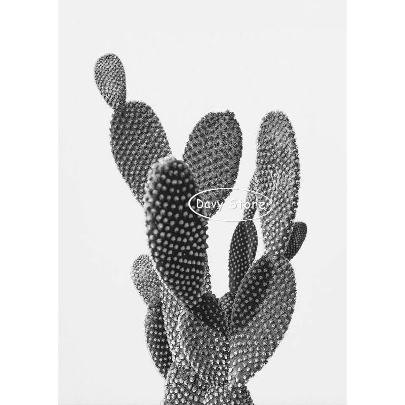 

Cactus Posters and Prints Canvas Painting Boho Cactus Black and White Modern Wall Art Picture for Living Room Home Decor 21cm×30cm NoFrame