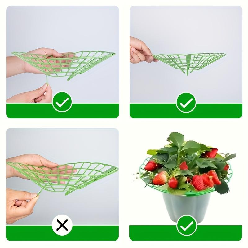 20pcs Green Strawberry & Watermelon Support Frames 3-Leg Fixed PVC Plant Racks Open Grid Drainage Design for Berries Patio