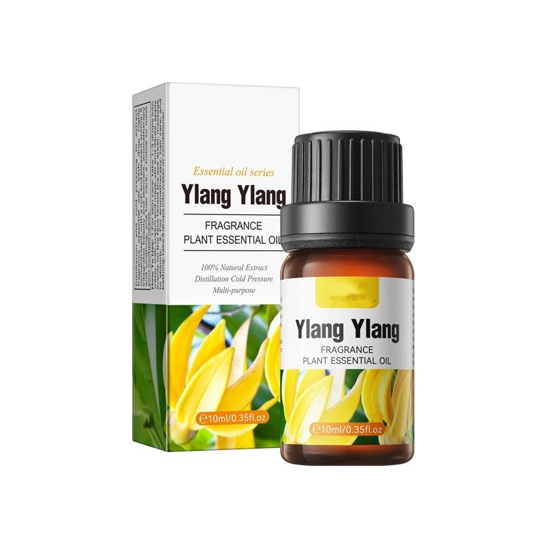 Plant Essential Oil Set 10ml Each Natural Fragrance Therapy Aromatherapy Body Oil Spa Massage Gift Set Export Wholesale