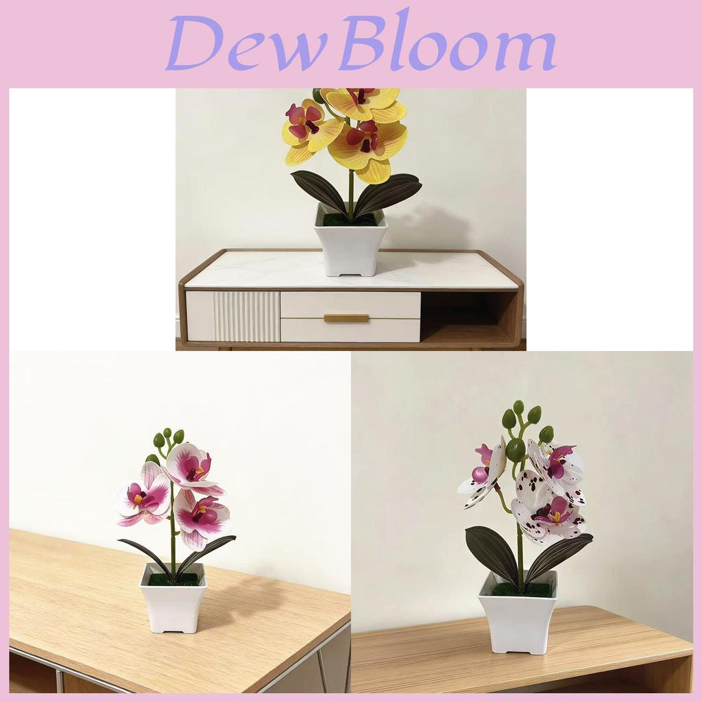 Butterfly Orchid Artificial Plant With Plastic Material For Home Decor And Photography Props