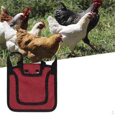 Verstellbare Hühnerschürze für Geflügel - Unverzichtbar für gefiederte Freunde