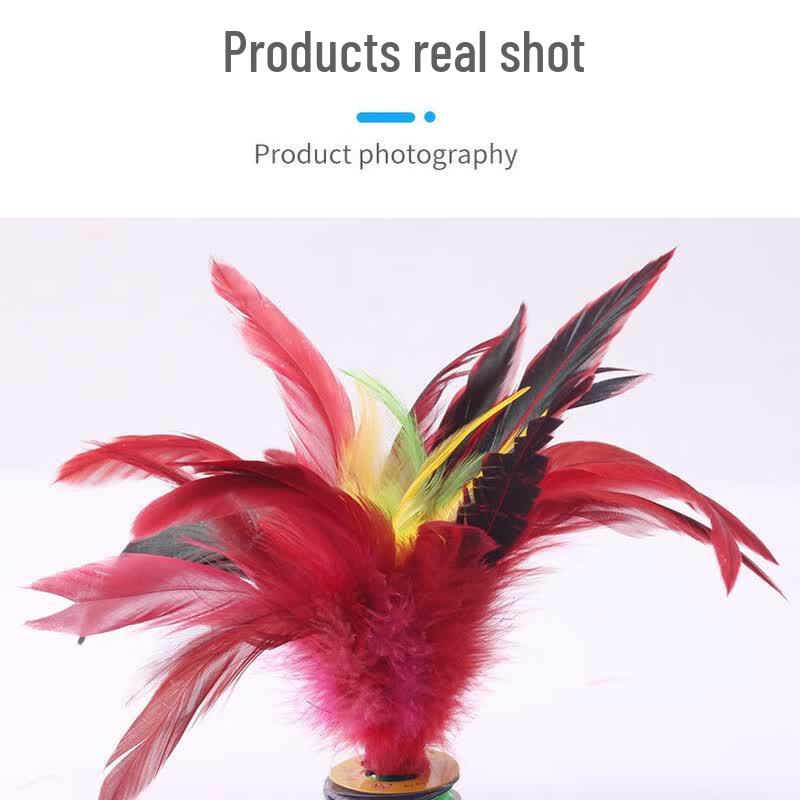Professional Rooster Feather Jianzi Set (4-Pack)