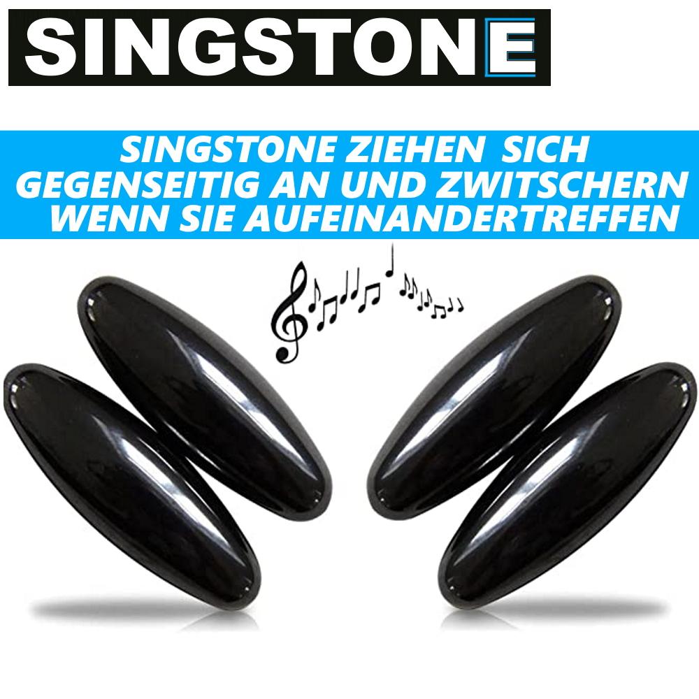 SINGSTONE Chirping Magnets Magnets Rattle Snake Magnetic Stones Sound Stone Hematite
